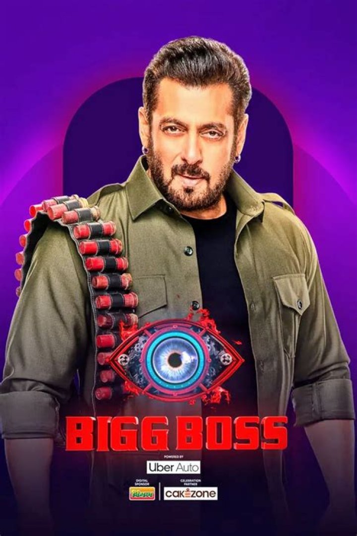 Complete Guide To Ayesha Khan's Age In Bigg Boss