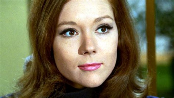 Exploring The Life And Career Of Jane Leevea