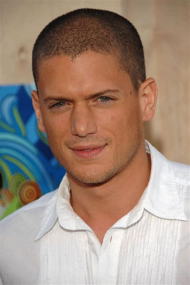 Exploring The Life And Career Of Wentworth Miller