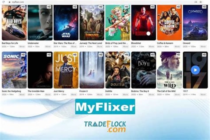 Exploring The World Of MyFlixer To: Your Ultimate Streaming Companion