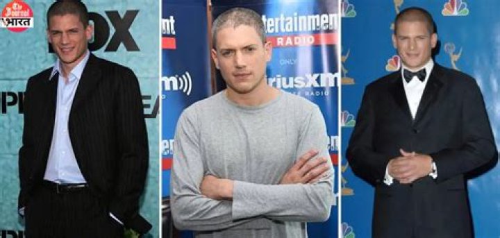 Exploring Wentworth Miller's Journey: The Truth Behind His Sexuality