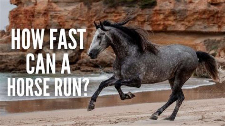How fast can Messi run in mph?