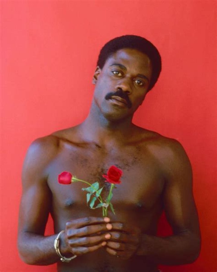 Prolific Actor Howard Rollins: A Cinematic Legacy