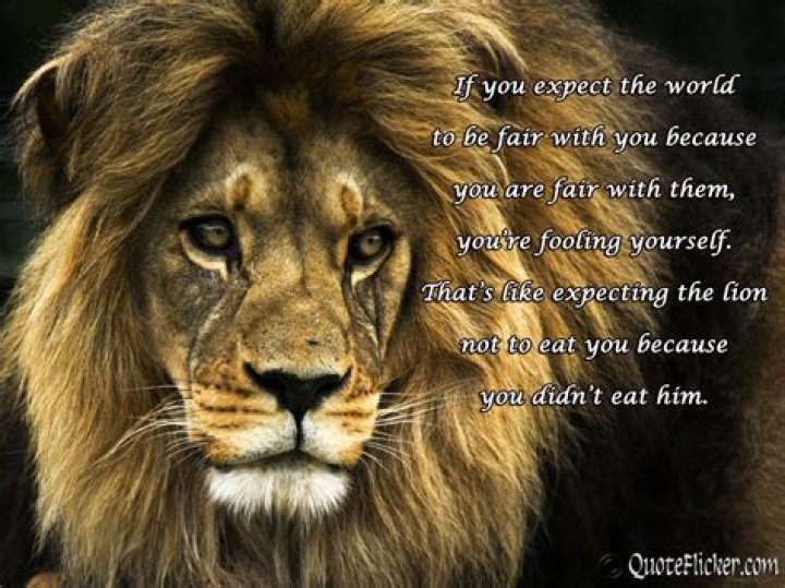 Quotes About A Lion