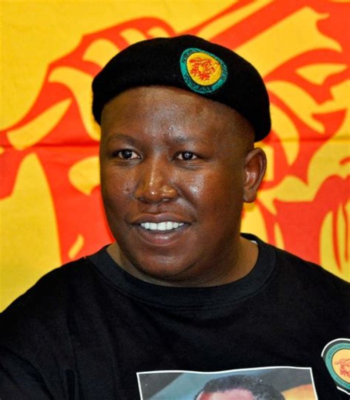 The Rise Of Julius Malema: Age Of Populism