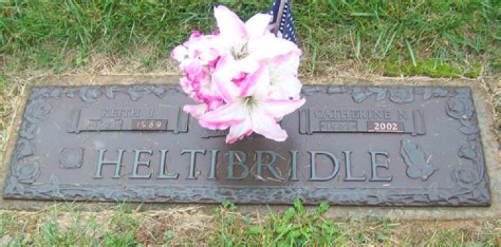 Unraveling The Mystery: The Cause Of Death Of James Heltibridle
