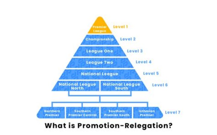 What does relegation mean in football?