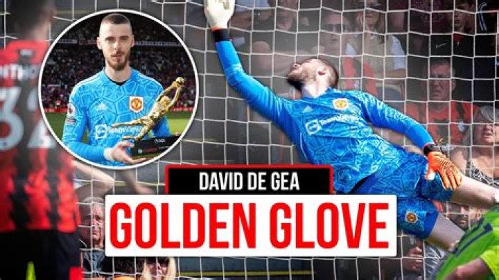 What gloves does David de Gea use?