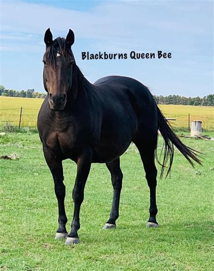 Who are blackburns rivals?